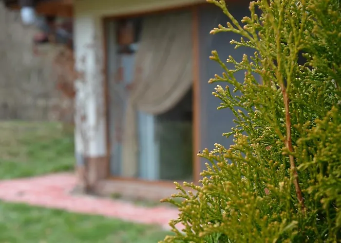 райски кът 1- Луксозна вила *